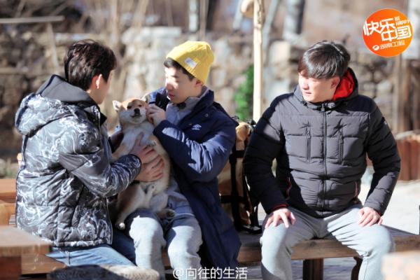 《向往的生活》：为了这慢悠悠的生活要费多少工夫