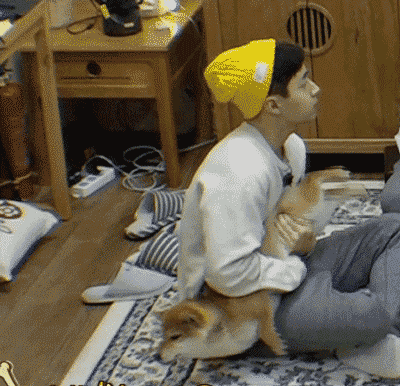 《向往的生活》：为了这慢悠悠的生活要费多少工夫