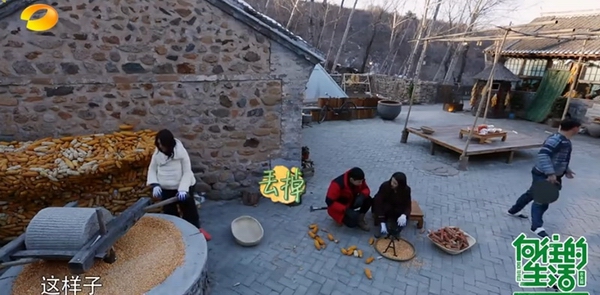 《向往的生活》：为了这慢悠悠的生活要费多少工夫