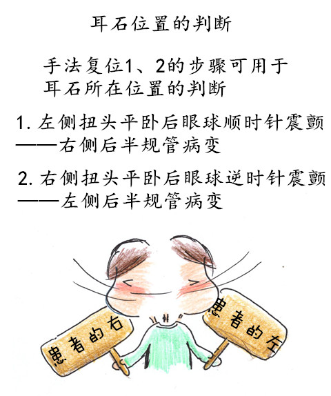 漫画｜头晕不是“美女病”，原是“耳石”在作怪