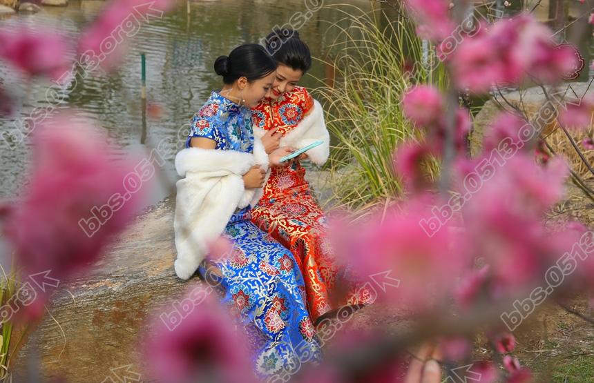 南通举加赏梅旗袍秀 (1).jpg