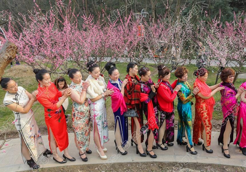 南通举加赏梅旗袍秀 (3).jpg