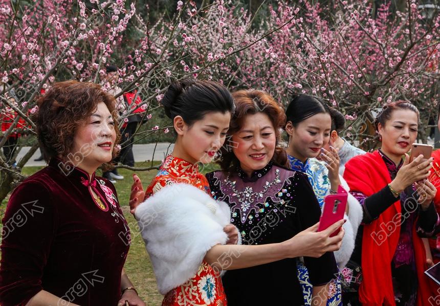 南通举加赏梅旗袍秀 (6).jpg