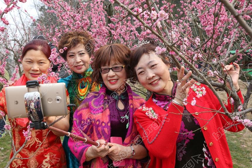 南通举加赏梅旗袍秀 (8).jpg