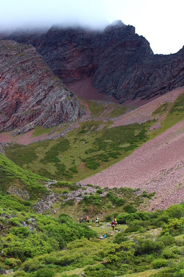 在梅里雪山，记录一次植物学家的高山科考之旅