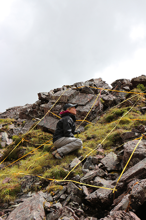 在梅里雪山，记录一次植物学家的高山科考之旅