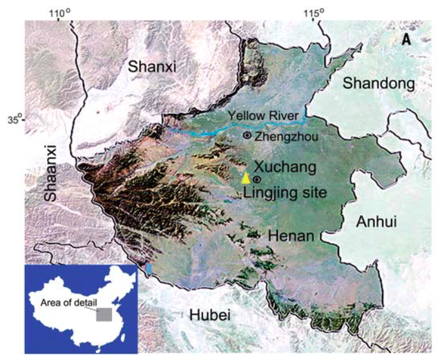 许昌发现新的古人类化石，所属类群存疑：他们会是什么人？