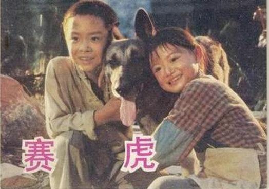 这些电影里的狗狗，都是催泪弹