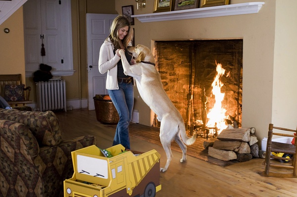 这些电影里的狗狗，都是催泪弹
