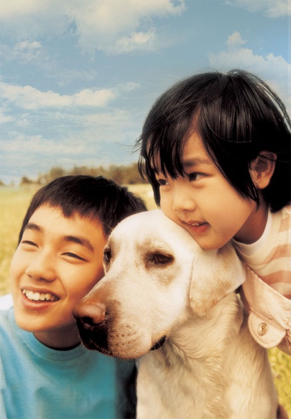 这些电影里的狗狗，都是催泪弹