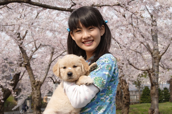 这些电影里的狗狗，都是催泪弹