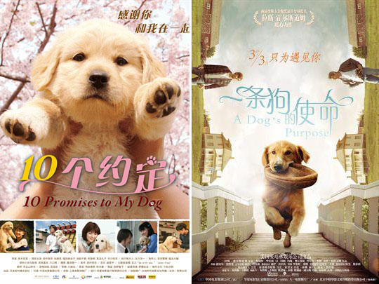 《一条狗的使命》：你怎么看待生活，生活就怎么回馈你