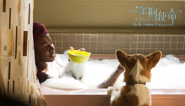 《一条狗的使命》：你怎么看待生活，生活就怎么回馈你