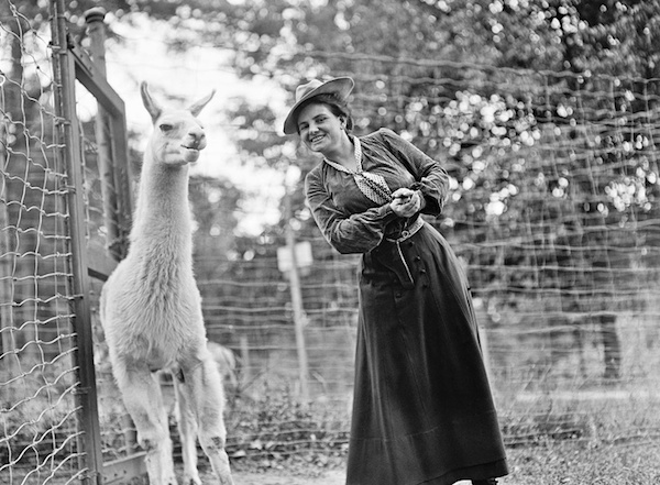 三八妇女节，纪念这些伟大的女性旅行家们