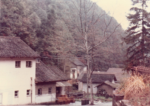 徐有威：皖南山沟里的上海