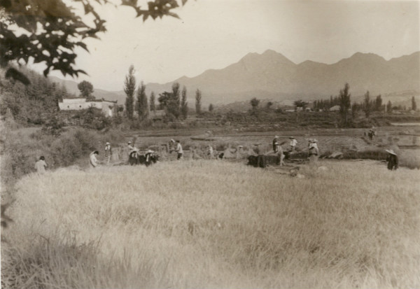 徐有威：皖南山沟里的上海