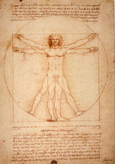 关于《维特鲁威人》，《达·芬奇密码》所没有告诉你的