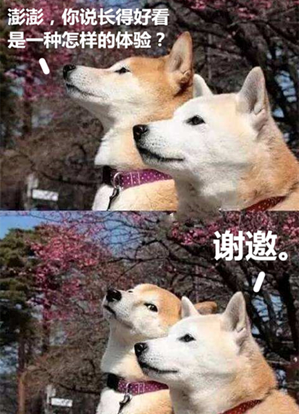 澎湃联播｜快，给我一个2000人的大场面！