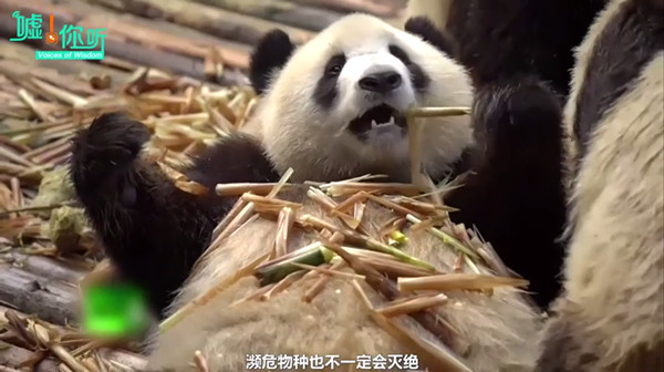 片单｜春日养心，纪录片和春茶更配哦