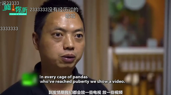 片单｜春日养心，纪录片和春茶更配哦