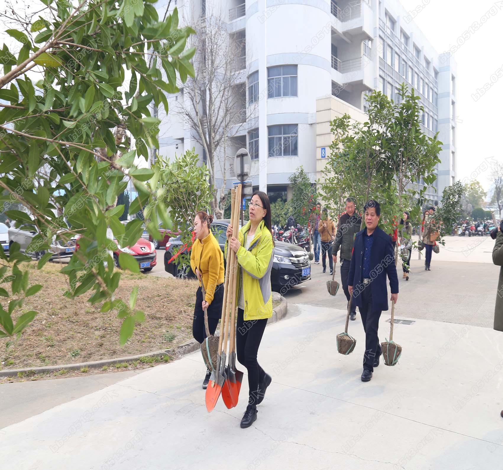 校北村居民与杏林学院师生搬树拿铁锹