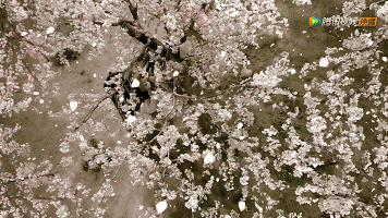 三生三世算什么，冯绍峰轮回了七世，还被冥王星红外线击中