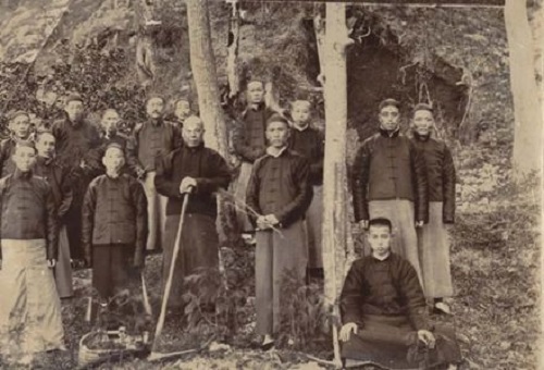 要想富，先栽树：植树节为何定在3月12日