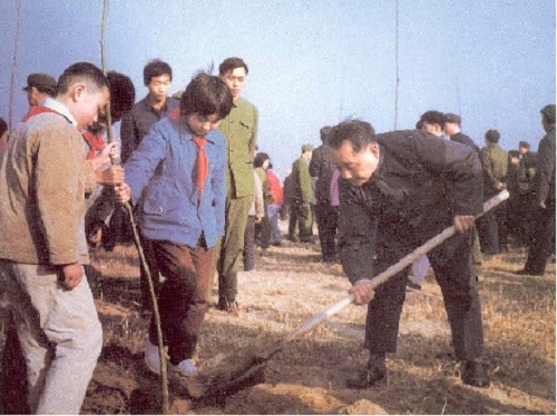 要想富，先栽树：植树节为何定在3月12日