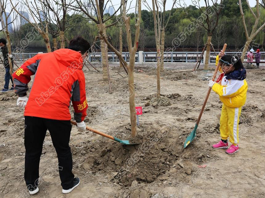 南通举行 我爱我家  大家一起来种树3.12义务植树活动 (2).jpg