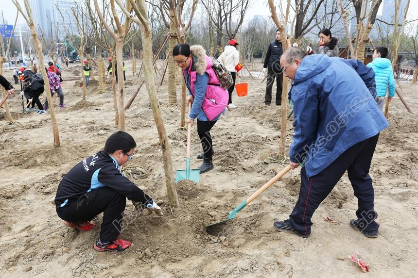 南通举行 我爱我家  大家一起来种树3.12义务植树活动 (3).jpg