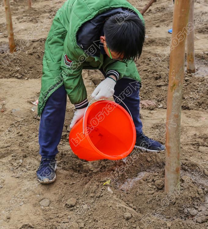 南通举行 我爱我家  大家一起来种树3.12义务植树活动 (7).jpg