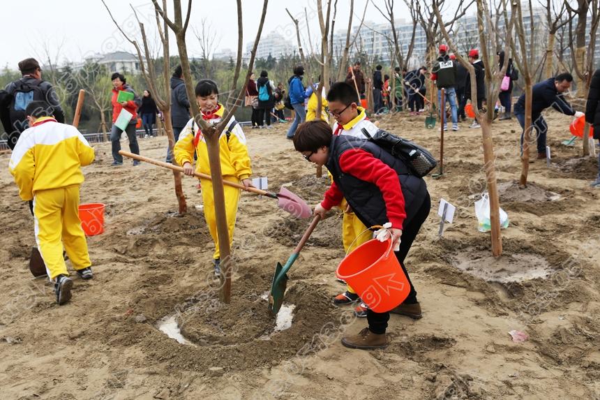 南通举行 我爱我家  大家一起来种树3.12义务植树活动 (9).jpg