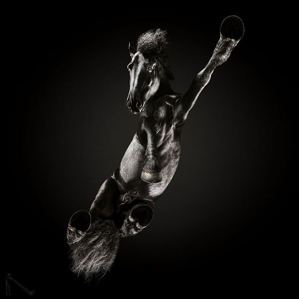 趣看｜这样的摄影角度，或许只有足控才想得出