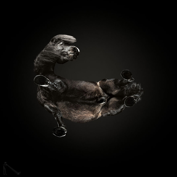 趣看｜这样的摄影角度，或许只有足控才想得出