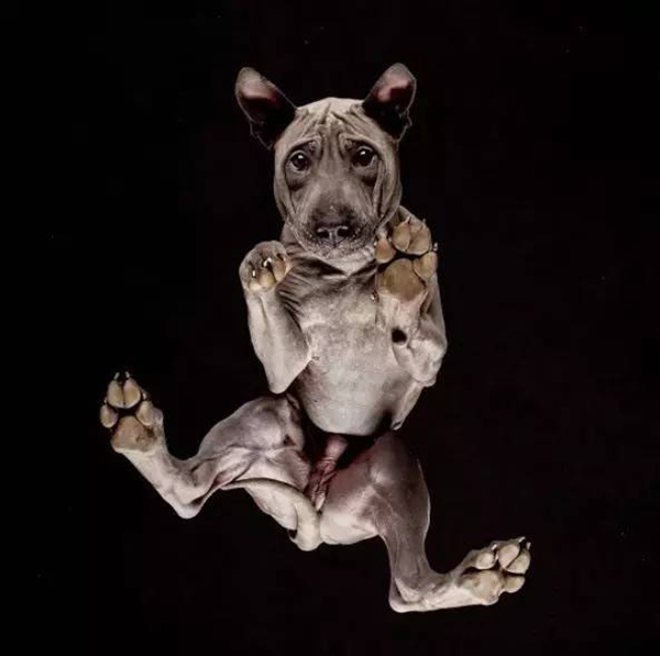 趣看｜这样的摄影角度，或许只有足控才想得出