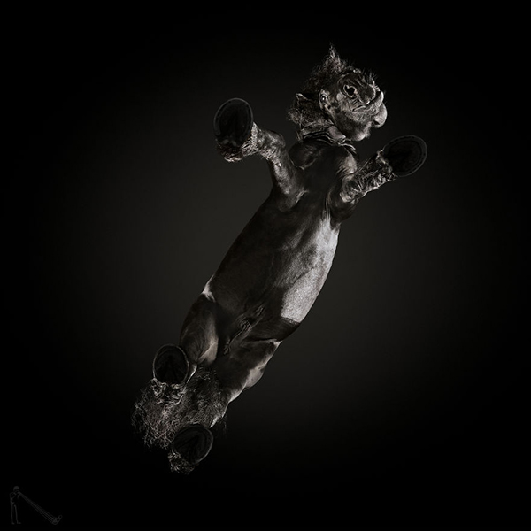 趣看｜这样的摄影角度，或许只有足控才想得出