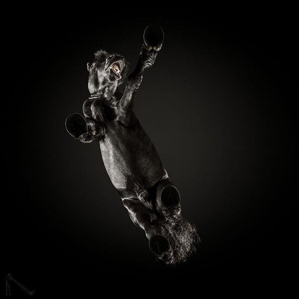 趣看｜这样的摄影角度，或许只有足控才想得出