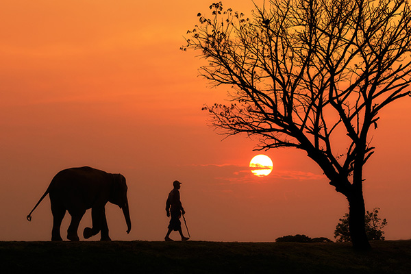 假期出游多地免签，专家提醒：去非洲东南亚旅游别忘防疟疾