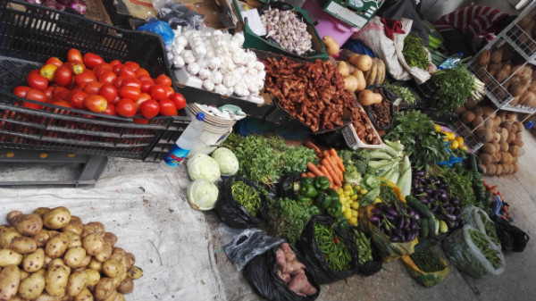 求学坦桑尼亚：在达累斯萨拉姆大学研习非洲学