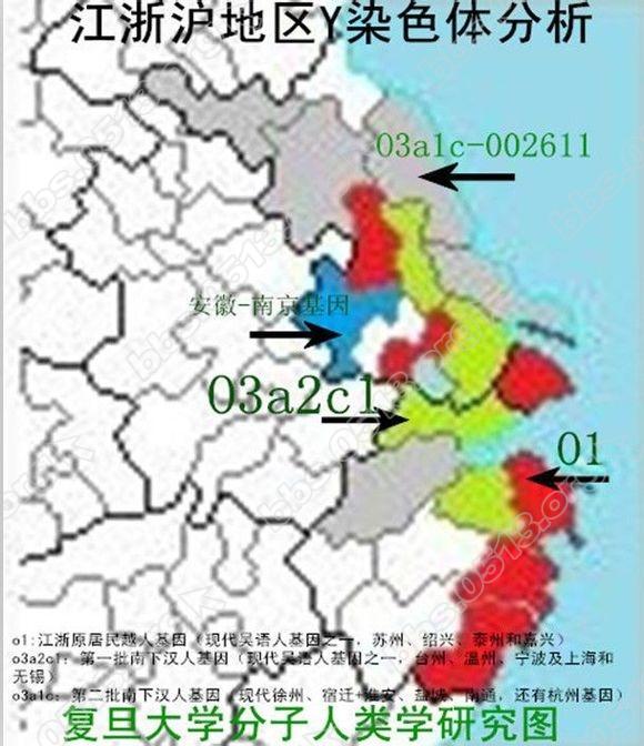 江浙沪人口_江浙沪 大数据里的几点微妙关系(2)