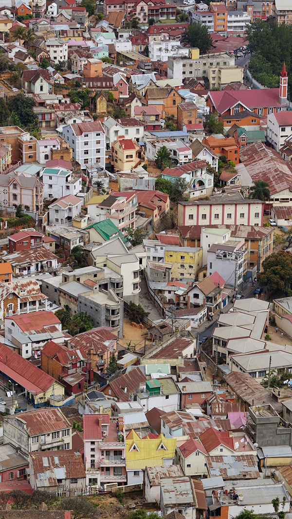 马达加斯加，带着物种密码的古老方舟