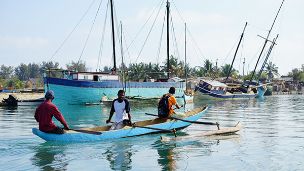 马达加斯加，带着物种密码的古老方舟