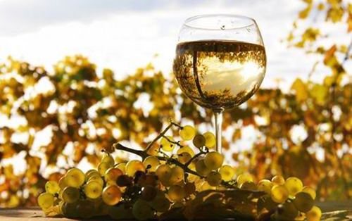 白葡萄酒春季销量增加，半干型白葡萄酒趋势看好