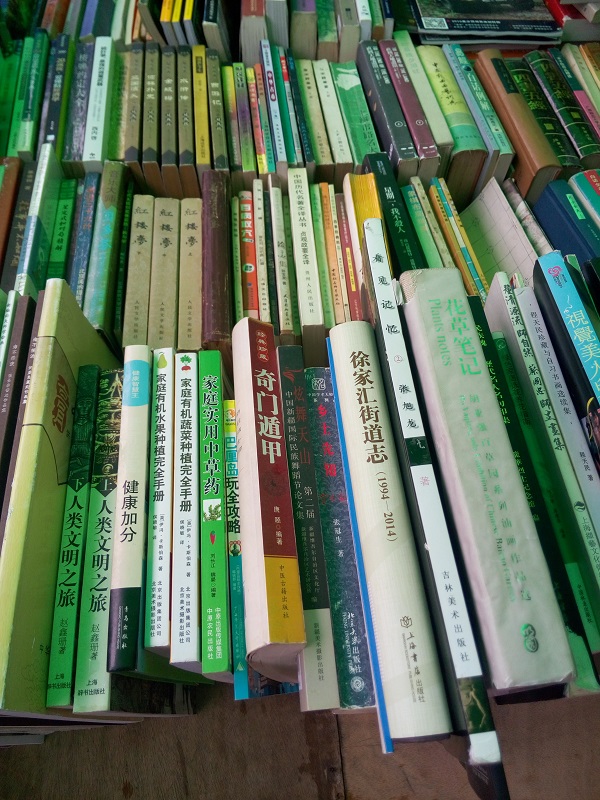 上海文庙旧书市场现状：除了门票还是1元，其他都变了