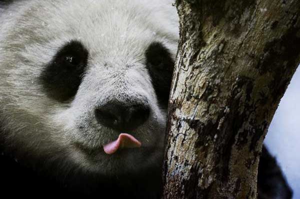 巨擘前行的基石，来自一次次顿悟时刻