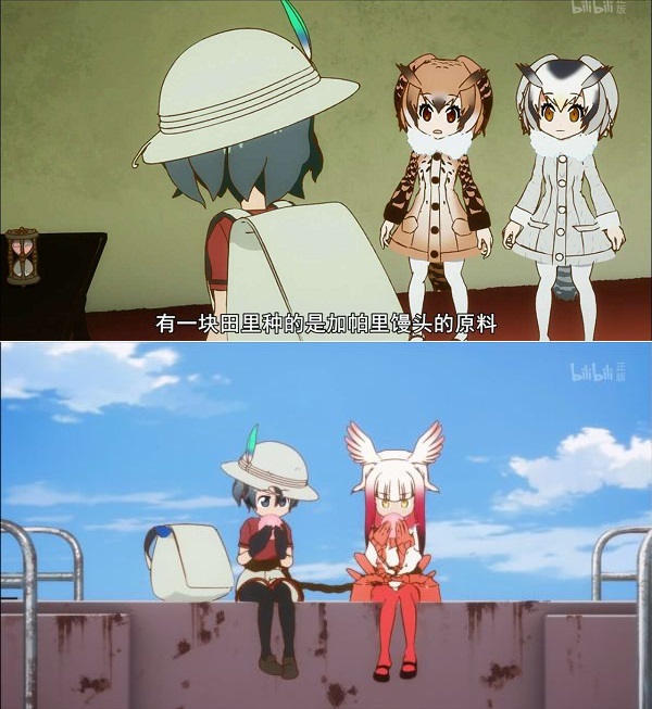 兽娘动物园：除了动物萌娘，你还能从这里了解人类