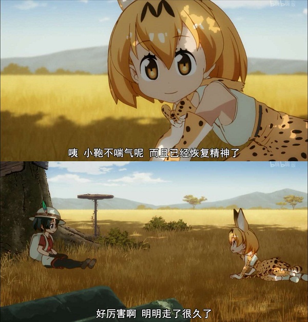 兽娘动物园：除了动物萌娘，你还能从这里了解人类