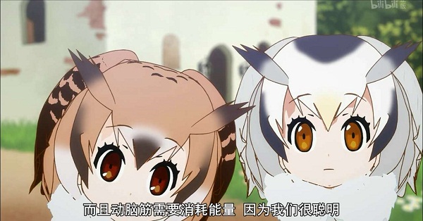 兽娘动物园：除了动物萌娘，你还能从这里了解人类