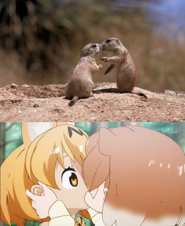 兽娘动物园：除了动物萌娘，你还能从这里了解人类