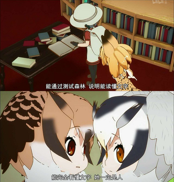 兽娘动物园：除了动物萌娘，你还能从这里了解人类